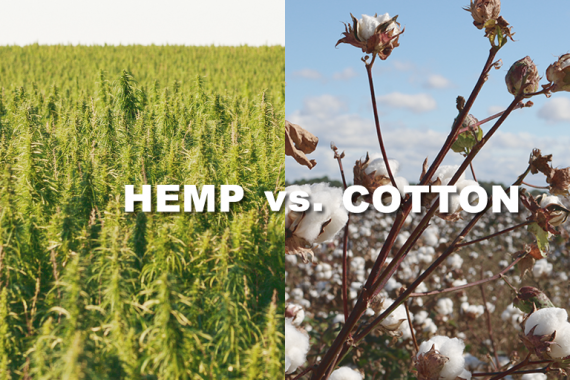 HEMP vs. COTTON