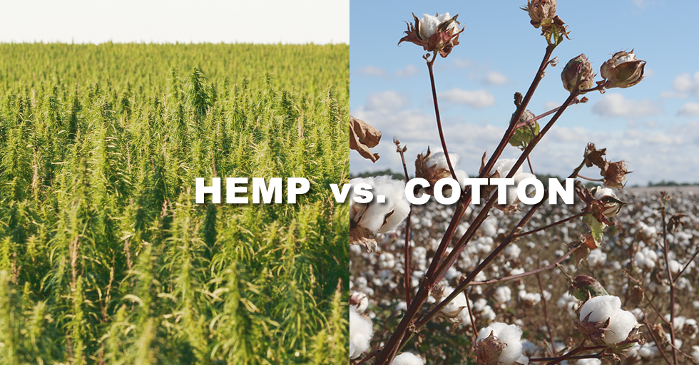 HEMPvsCOTTON-img HEMPvsCOTTON-img