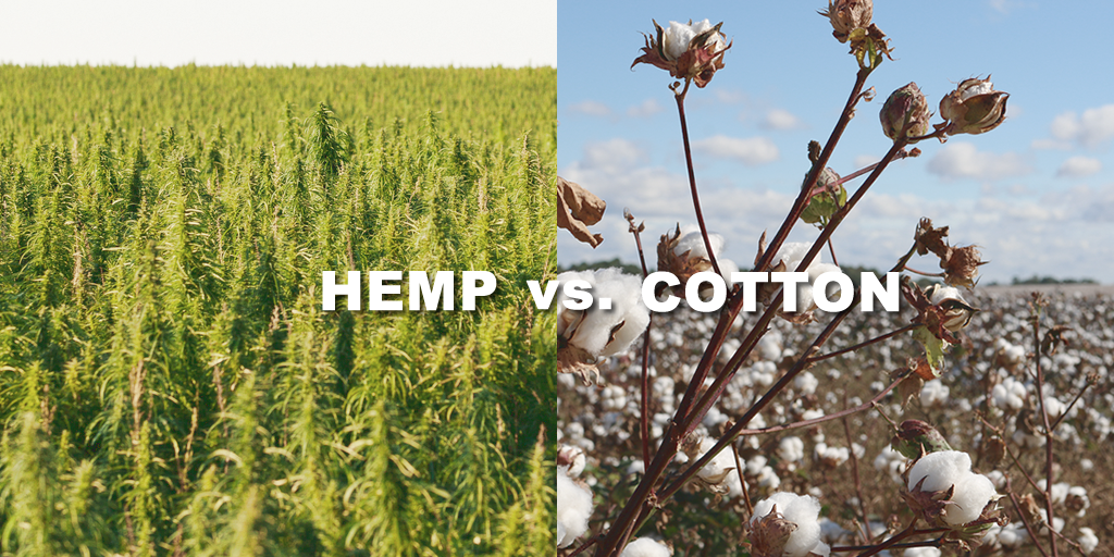 HEMP vs. COTTON